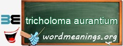 WordMeaning blackboard for tricholoma aurantium
